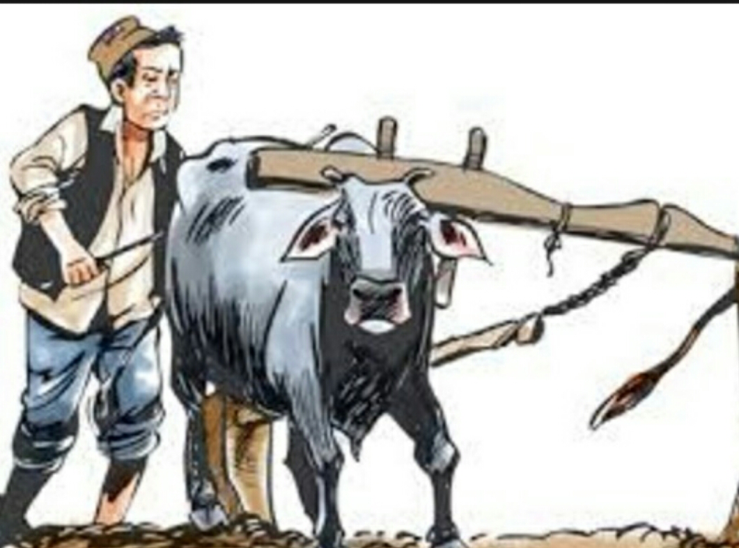 मुक्त कमैया र हलिया पुनर्स्थापना : ५ अर्ब ३३ करोड सकियो, समस्या उस्तै