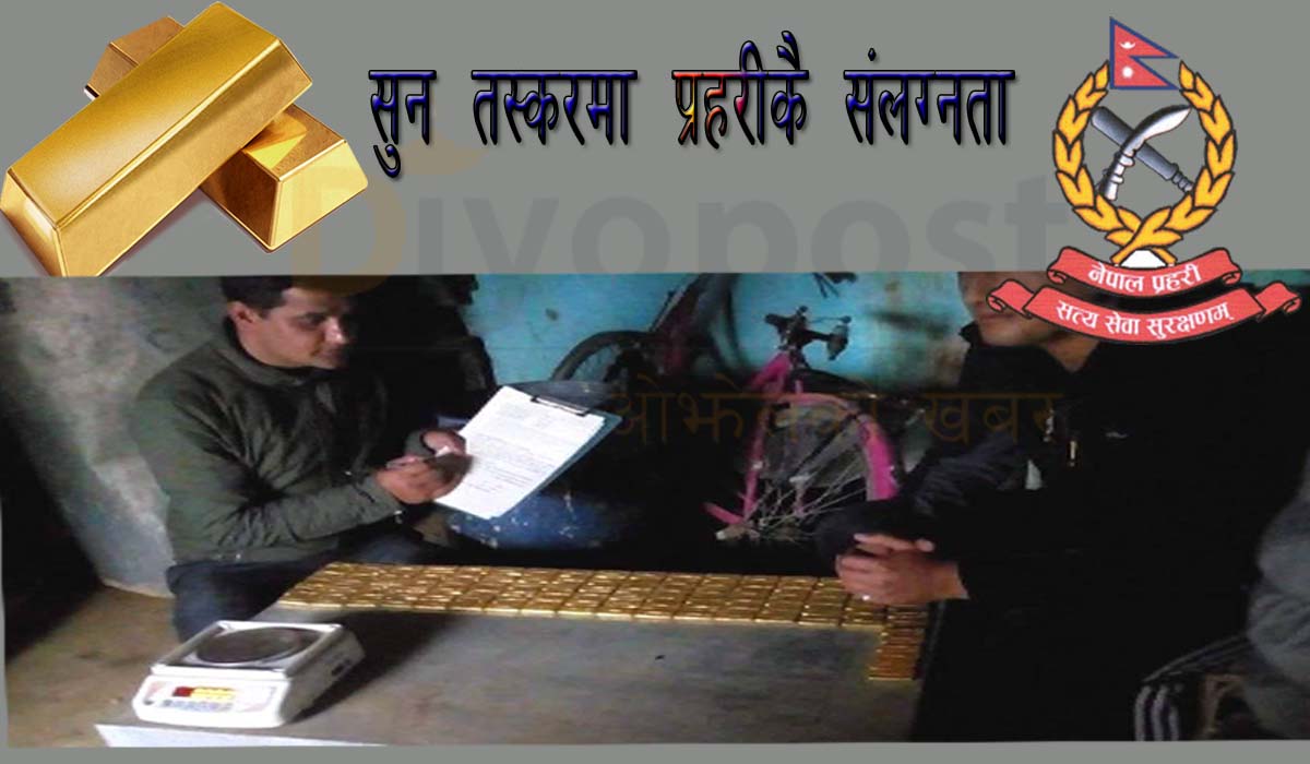 कञ्चनपुरमा भेटिएको १८ किलो सुन तस्करीमा प्रहरीकै संलग्नता