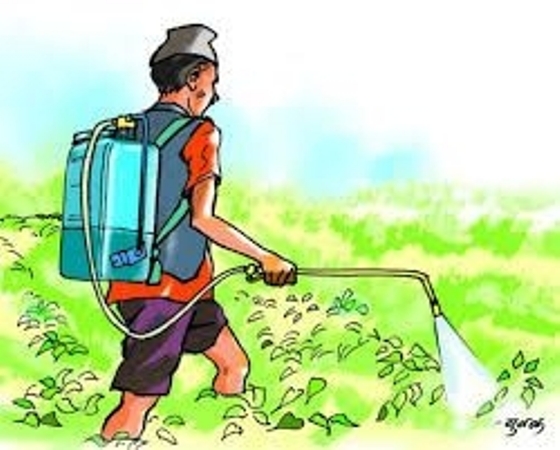 किसानहरुलाई परिचय पत्र वितरण गर्ने  सरकारको योजना