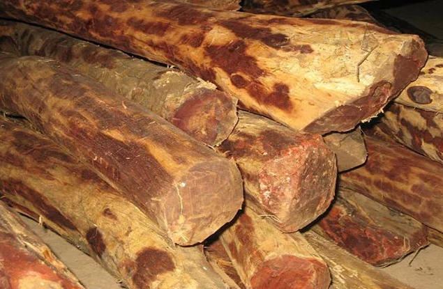 पशुपतिमा थरीथरीका चन्दन