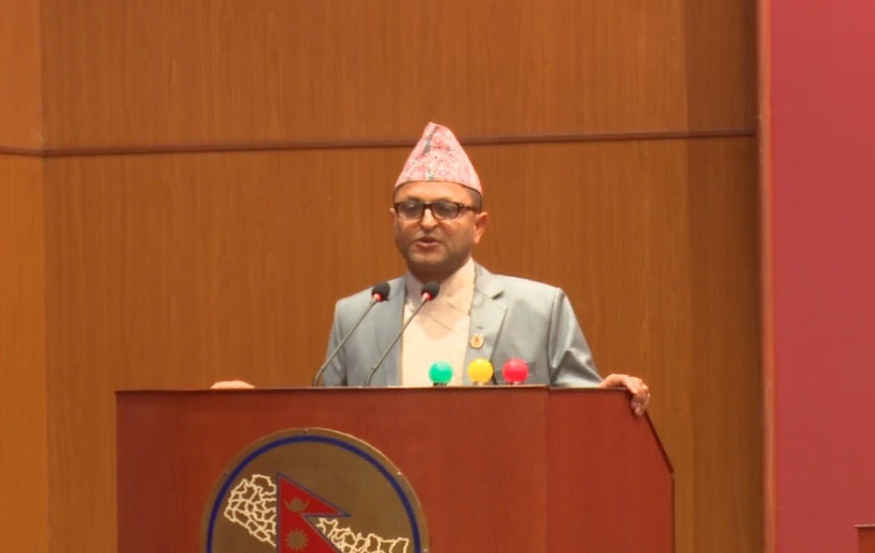 कानुनको मर्म विपरित नियमावली र निर्देशिका जारी नगर्न सरकारलाई निर्देशन