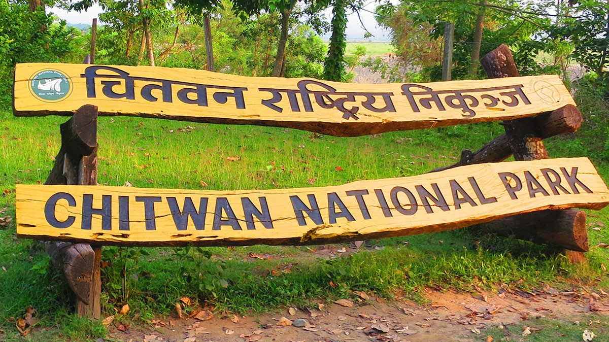 चितवन राष्ट्रिय निकुञ्जमा कर्मचारी अभाव