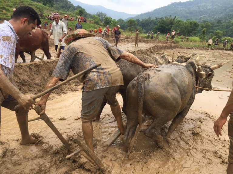 गोरखा पुगेर हलो र हिलोमा रमाउँदै बाबुराम भट्टराई (फोटोफिचर)