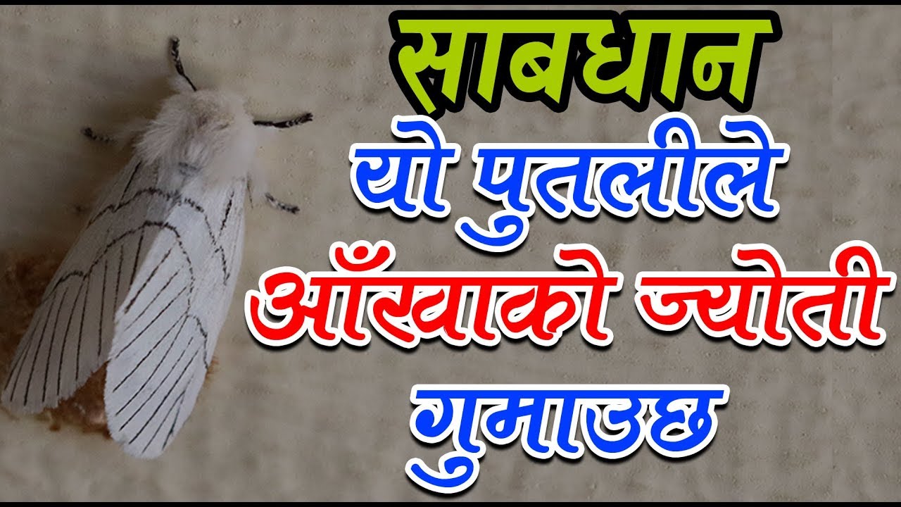 सेतो पुतली आँखाका लागि खतरा, जोगिने कसरी ?