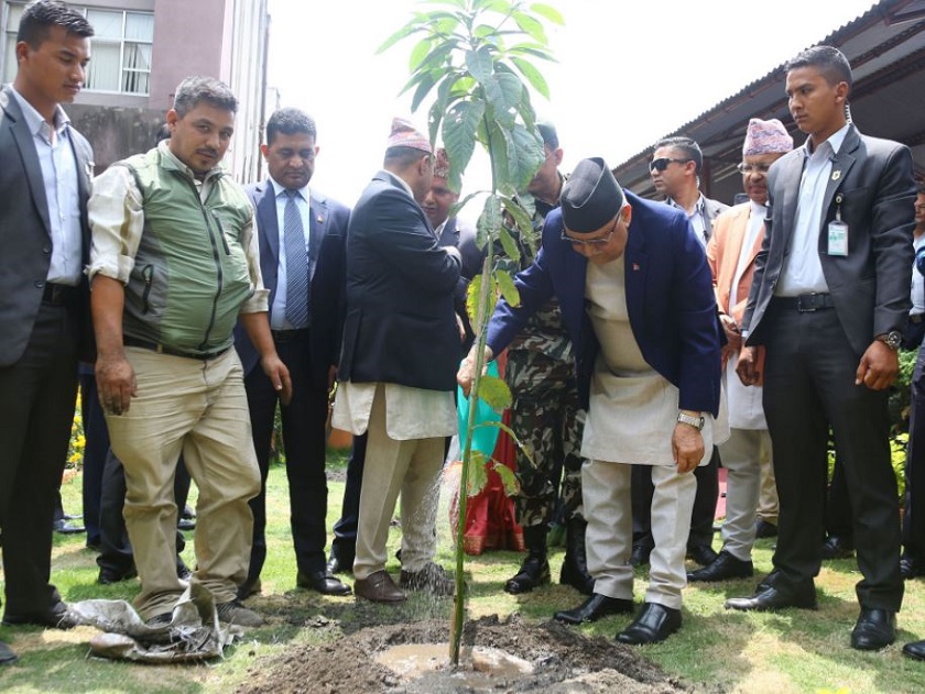 ‘घरैपिच्छे फलफूल, घरैपिच्छै रुख’ हाम्रो अभियान: प्रधानमन्त्री ओली