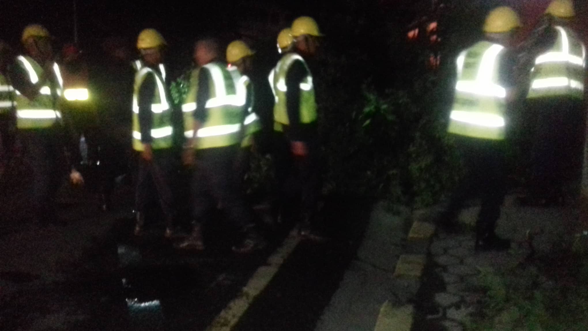 हावाहुरीले प्रधानमन्त्री निवास नजिकै रुख ढल्यो, यातायात अवरुद्ध