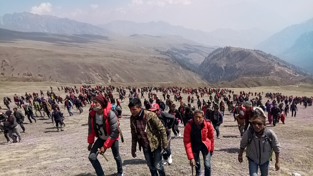 यार्चागुम्बा सङ्कलकन गर्न गएका आठ जनाको मृत्यु