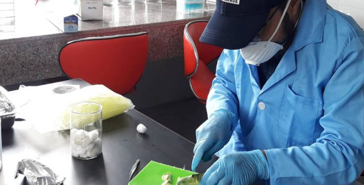 सर्वोच्चको आदेशपछि शुरु भयो तरकारीमा विषादी परिक्षण