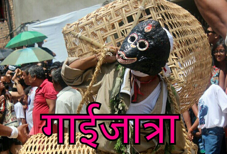 आज गाईजात्राः गाईजात्राको प्रचलन कहाँबाट सुरु भयो ? यस्ता छन् रहस्य