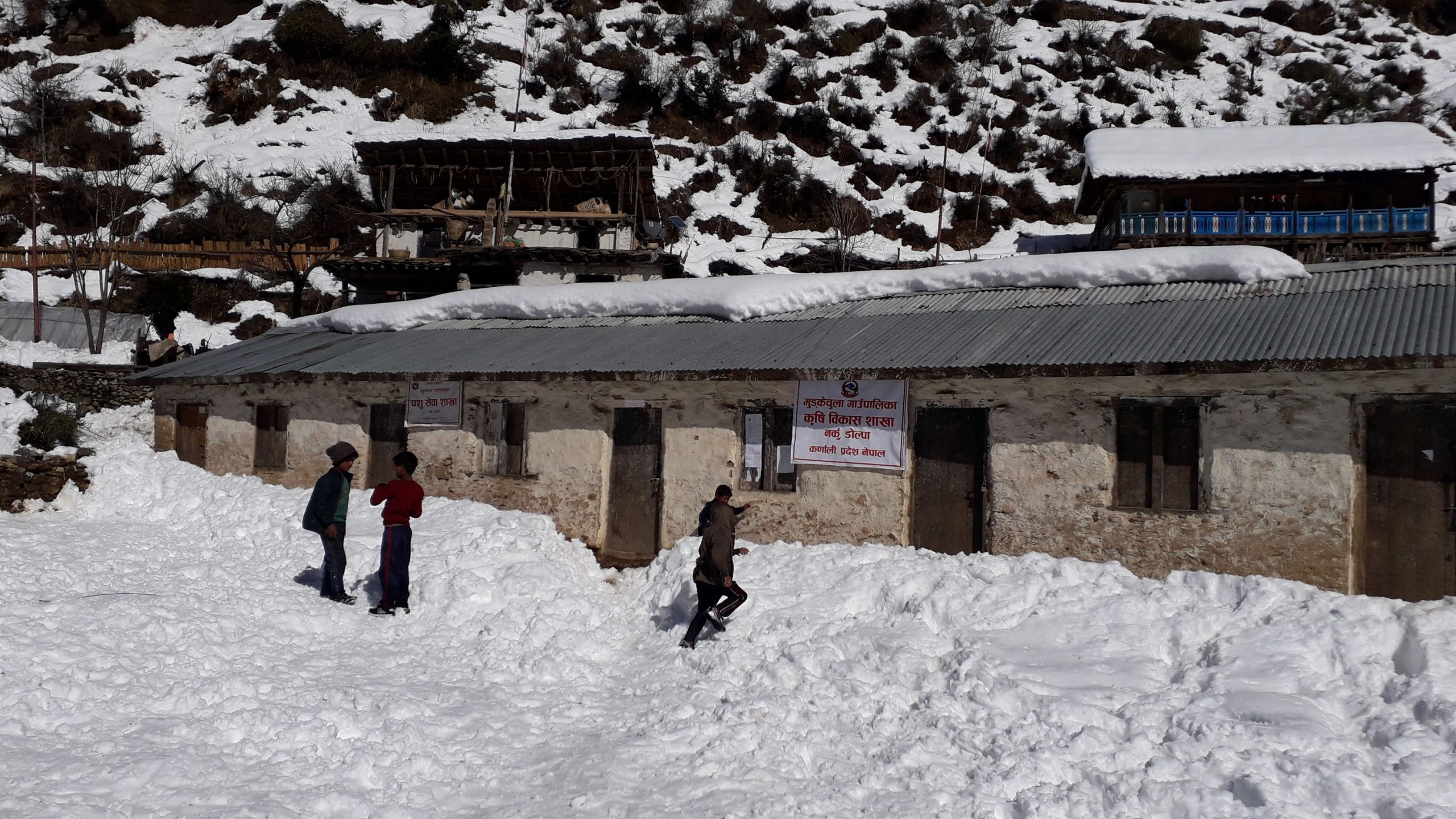 भारी हिमपातले डोल्पामा विद्यालय र सरकारी कार्यलय पुरियो