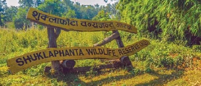 शुक्लाफाँटा राष्ट्रिय निकुञ्जमा गैँडा गणना कार्य शुरु