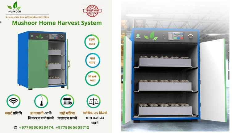 हल्ट प्राइजको अन्तिम प्रतिस्पर्धीका रूपमा नेपाली युवा वैज्ञानिकहरू लण्डन जाँदै