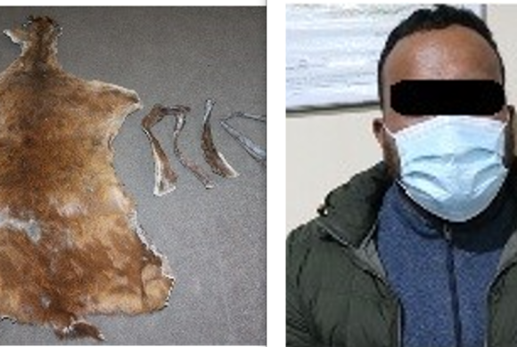 आखेटोपहारकाे छाला सहित एक जना पक्राउ