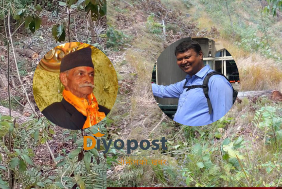 सिद्धलेकमा सामुदायीक वन मासेर काठ तस्करी : डिएफओकै मिलेमतोमा तस्करलाई उन्मुक्ति !
