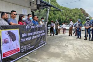 गभर्नर अधिकारीको राजीनामा माग्दै राष्ट्र बैंक अगाडि विद्यार्थी संगठनको कालो ब्यानर