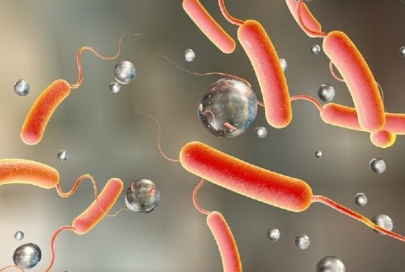 काठमाडौंमा थप २ जनामा हैजा पुष्टि, संक्रमितको संख्या १९ पुग्यो