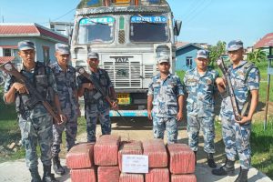 सशस्त्र प्रहरीद्वारा १४४ किलो गाँजा बरामद