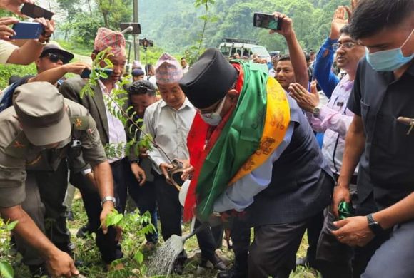 हर्क साम्पाङको रुख रोप्ने अभियानमा सहभागी हुन धरान पुगे प्रचण्ड