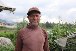 लुबुका किसान कृष्ण दाहालका कुरा,‘विचौलियाको चलखेलले हामीलाई बर्बाद बनायो’