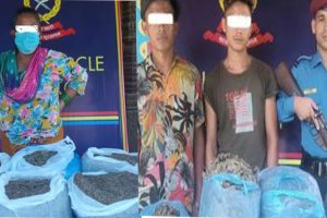 गाँजाजस्तो देखिने १२ किलो पदार्थसहित नागढुङ्गाबाट ३ जना पक्राउ