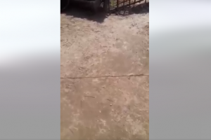 मिटरब्याजी शाहद्वारा पीडितलाई ज्यानमार्ने धम्की !