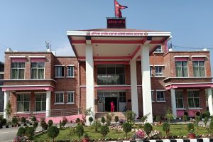 नक्कली प्रमाणपत्र पेस गरी शिक्षण गरेको भन्दै मन्त्रीकी पत्नीविरुद्ध मुद्दा