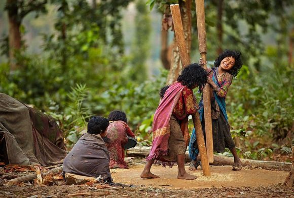 फेरिँदै राउटेको जीवनशैली, जोखिममा सभ्यता