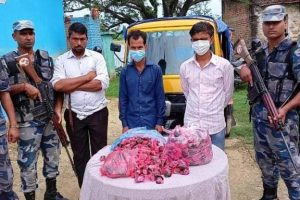 सशस्त्र प्रहरीद्वारा ठुलो मात्रामा चरेस बरामद,  ३ जना पक्राउ