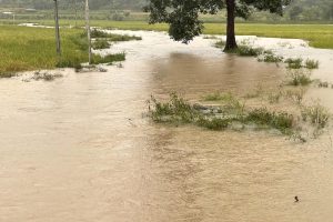 बाढीको प्रभाव : वीरेन्द्रनगरमा खानेपानी आपूर्ति बन्द