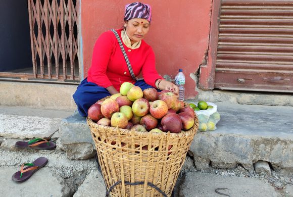 मीठो फलफूल बेच्ने धनमायाको नमीठो कथा