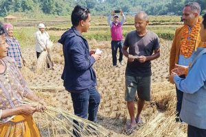 मतदाता रिझाउने अन्तिम कसरतमा उम्मेदवार