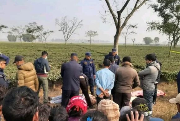 चिया बगानको रुखमा युवा–युवती झुण्डिएको अवस्थामा मृत फेला, कारण खुल्न बाँकी