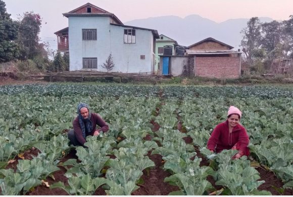 कृषि व्यवसायमा बदलिएको समाज