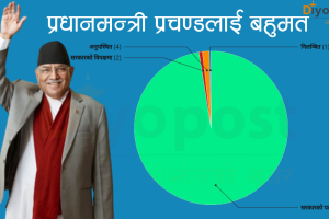 प्रधानमन्त्री प्रचण्डलाई बहुमत