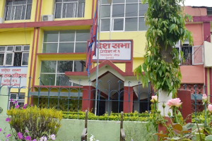 प्रदेश  १ मा राप्रपाले तत्काल सरकार नछाड्ने