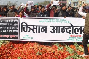 ‘विदेशी तरकारी मुर्दावाद’ भन्दै सडकमै तरकारी फ्याँकेर किसानको विरोध