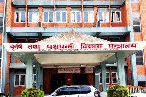 सरकारले घटायो रासायनिक मलमा दिँदै आएको अनुदान, बढ्यो मूल्य