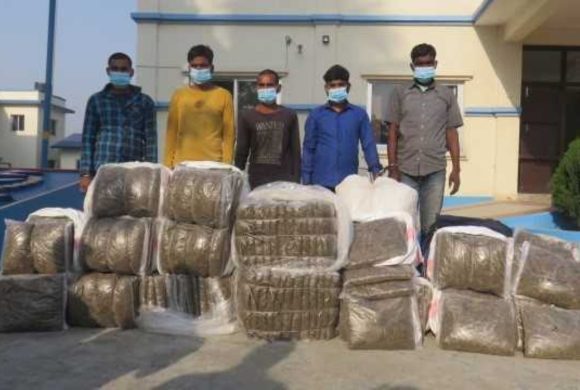 २३४ किलो गाँजासहित पाँचजना पक्राउ