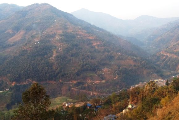 बसाइँसराइले रित्तिँदै जैमिनीका गाउँ
