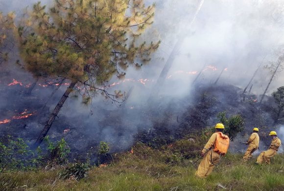 गुल्मीमा डढेलो निभाउने क्रममा जलेर एक जनाको मृत्यु