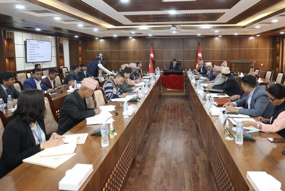 दिगो विकासको लक्ष्य हासिलका लागि सहकार्य गर्न प्रधानमन्त्रीको आग्रह