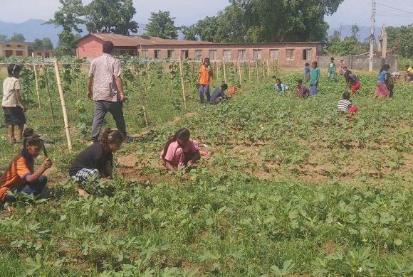 पढाइसँगै करेसाबारी स्याहार्दै विद्यार्थी