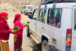 वनमा खेर जाने ऐँसेलु बेचेर खर्च जुटाउनेहरू