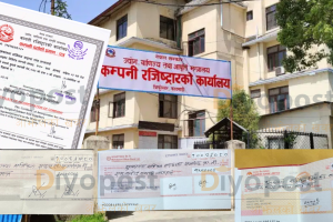 कम्पनी रजिष्ट्रार कार्यालयमा विचौलियाको सेटिङ्ग : चुक्ता पुँजीको चेक अपलोड गरेर शेयर प्रमाण !