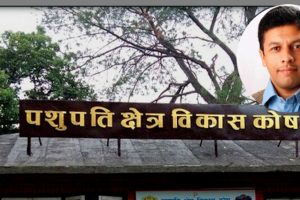पशुपति क्षेत्र विकास कोषका पूर्व सदस्य सचिव ढकालविरुद्ध भ्रष्टाचार मुद्दा