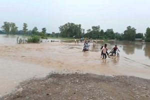 बाढीबाट हुने क्षति न्यूनीकरणमा जुटे कञ्चनपुरका स्थानीय तह