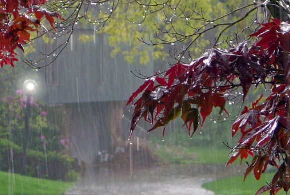 भारी वर्षाको सम्भावनाः आवश्यक सतर्कता अपनाउन अनुरोध