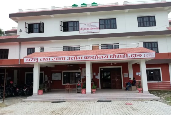 दाङमा एक वर्षमा २९८ घरेलु उद्योग बन्द