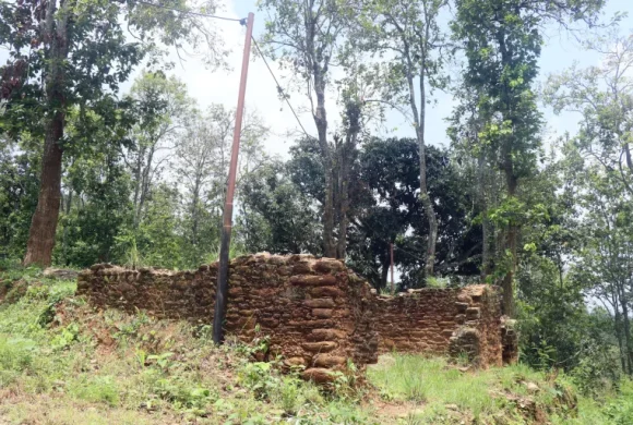 संरक्षणको अभावमा खण्डहर आदिकवि भानुभक्तको घर