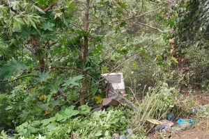साँगामा यात्रुबाहक बस भिरबाट खस्दा ७ जना घाइते